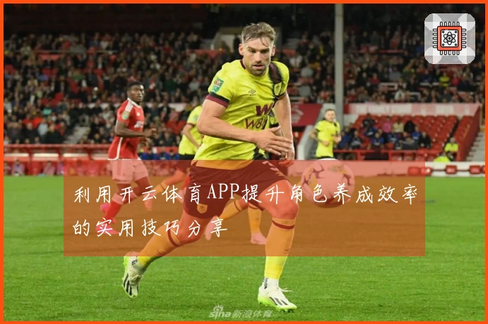 利用开云体育APP提升角色养成效率的实用技巧分享