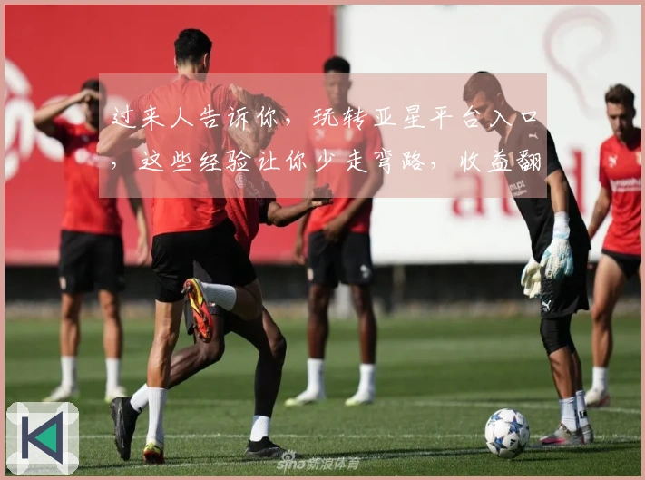 过来人告诉你，玩转亚星平台入口，这些经验让你少走弯路，收益翻倍