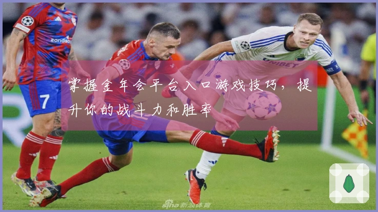 掌握金年会平台入口游戏技巧，提升你的战斗力和胜率