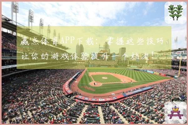 赢点体育APP下载：掌握这些技巧，让你的游戏体验提升一个档次！
