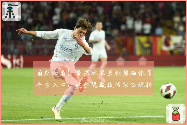 萌新必看！资深玩家亲测熊猫体育平台入口，这些隐藏技巧助你玩转精彩赛事！