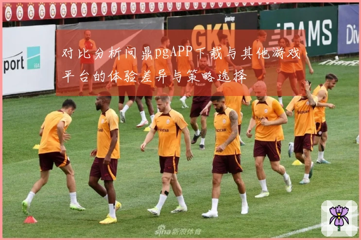 对比分析问鼎pgAPP下载与其他游戏平台的体验差异与策略选择